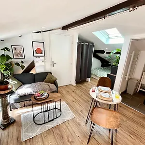  Appartement Loft Hortensia Hyper Centre Castres